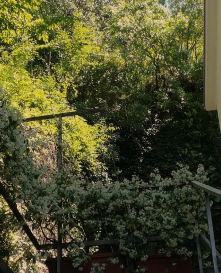 Kotor Apartment Криквеница Екстериор снимка